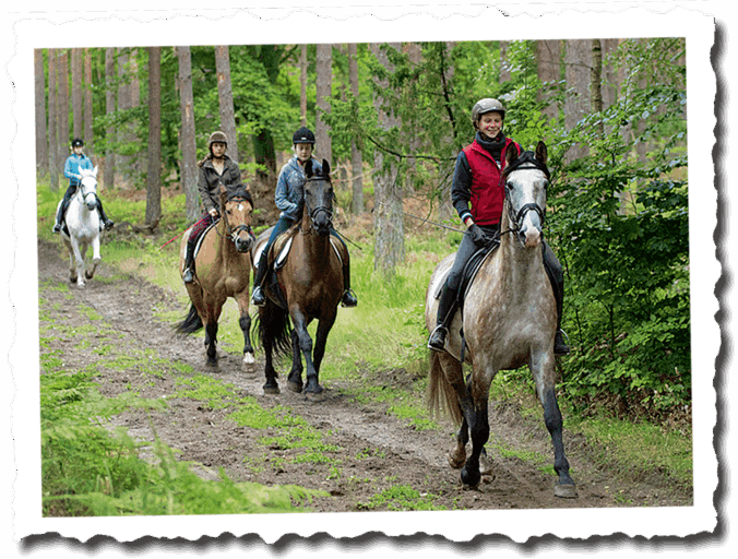 Gelände Ausritt Reiterhof Kafka