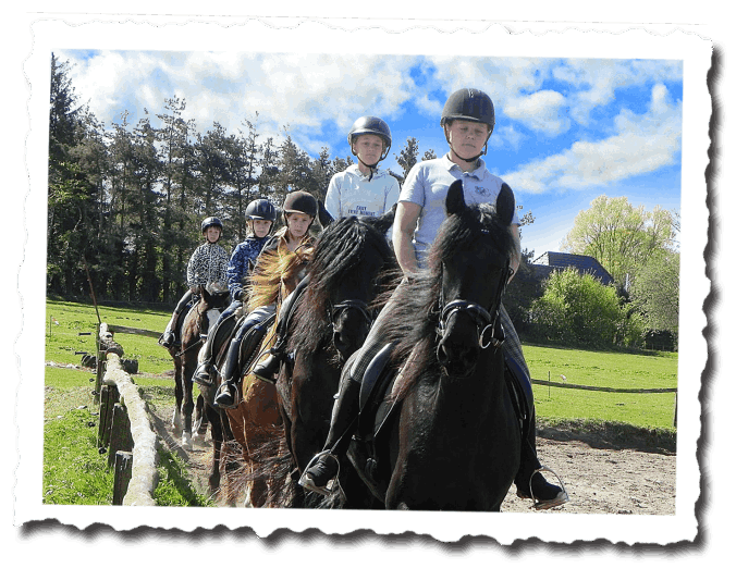 Platztraining Reiterhof Kafka